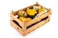 Squashes and pumpkins in wooden crate Royalty Free Stock Photo