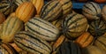 Squashs in a market, Montreal, Quebec, Canada Royalty Free Stock Photo