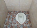 Squat toilets are commonly used in homes, hotels, inns, home stays and public places