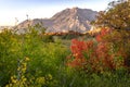Squaw Peak is seen behind the colorful autumn foliage, Utah, USA