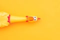 Squeaky chicken toy isolated on a orange background and copyspace. Rubber toy Chicken on a yellow background