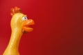 Squeaky chicken toy on red background. Rubber toy chicken on red background