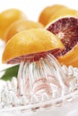 Squeezer on sliced blood orange Royalty Free Stock Photo