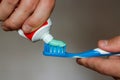 Squeezes toothpaste on the brush