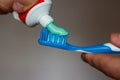 Squeezes toothpaste on the brush Royalty Free Stock Photo
