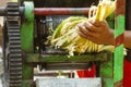 Squeezing juice from sugar cane india street Royalty Free Stock Photo