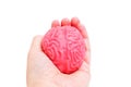 Squeezing Soft Human Brain Model in Hand on White Royalty Free Stock Photo
