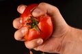 Squeezing tomato