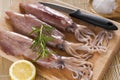 Squid Royalty Free Stock Photo