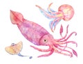 Squid, batoidea, jellyfish. Sea set illustration Royalty Free Stock Photo