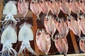 Squid and fish drying Royalty Free Stock Photo