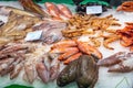 Squid, fish and seafood