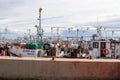 Squid fishing fleet at harbour in Port St Francis South Africa Royalty Free Stock Photo