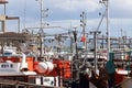 Squid fishing fleet at harbour in Port St Francis South Africa Royalty Free Stock Photo