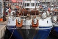 Squid fishing fleet at harbour in Port St Francis South Africa Royalty Free Stock Photo