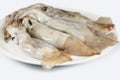 Squid fresh, raw