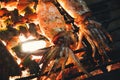 Squid on the grill close-up roasting on an open fire Royalty Free Stock Photo