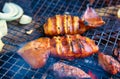 Squid Grilled Barbecue Squid Poppy Grilled over Charcoal Royalty Free Stock Photo