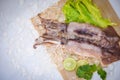 Squid on ice, Fresh raw squid with lettuce vegetable salad seafood coriander lemon lime on white plate background Royalty Free Stock Photo