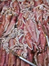Squid Mackerel Arrangement on fresh fish market stock photo