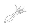 Squid, mollusk, cephalopods continuous line drawing. One line art of fish, seafood, marine animals. Royalty Free Stock Photo