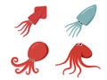 Squid, octopus and cuttlefish in flat, vector