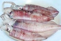 Squid after put formalin for protect freshness