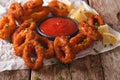 Squid rings in breadcrumbs and tomato sauce closeup. horizontal Royalty Free Stock Photo