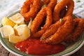 squid rings fried in breadcrumbs close-up on a plate with ketchup. horizontal Royalty Free Stock Photo