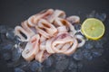 Squid rings on ice, Fresh raw squid with salad seafood lemon on black plate background Royalty Free Stock Photo