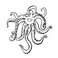 Squid tentacle black and white vector illustrationisolated on a white background.