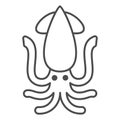 Squid thin line icon, seafood concept, korean octopus calamari vector sign on white background, outline style icon for