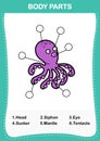 Squid vocabulary part of body,Write the correct numbers of body parts