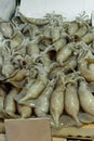 Squids background in fish market