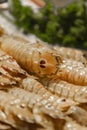 Squilla mantis Mantis shrimp on the fish market