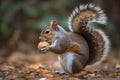 Squirrel acorn forest autumn. Generate Ai