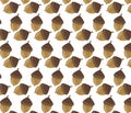 Squirrel Acorn nuts pattern