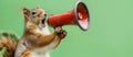 Squirrel announcing using megaphone. Notifying, warning, announcement