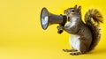 Squirrel announcing using megaphone. Notifying, warning, announcement
