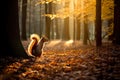 Squirrel in the autumn forest with bright Golden light. Amazing wildlife. Generative Ai