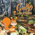 Squirrel in the autumn forest. Royalty Free Stock Photo