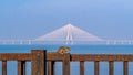 Squirrel with the backdrop of Bandra-Worli Sea Link