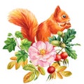 Squirrel and beautiful flowers on isolated white background, watercolor painting illustration, design poster, postcard