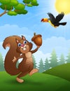 Squirrel and bird toucan cartoon in the jungle