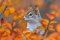 Squirrel With Blue Eyes Sitting in a Tree. Generative AI Royalty Free Stock Photo