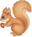 Squirrel cartoon holding nut Royalty Free Stock Photo