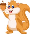 Squirrel cartoon with nut Royalty Free Stock Photo