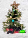Squirrel And Christmas Tree Display
