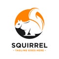 Squirrel and circle logo design template Royalty Free Stock Photo