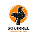 Squirrel and circle logo design template Royalty Free Stock Photo